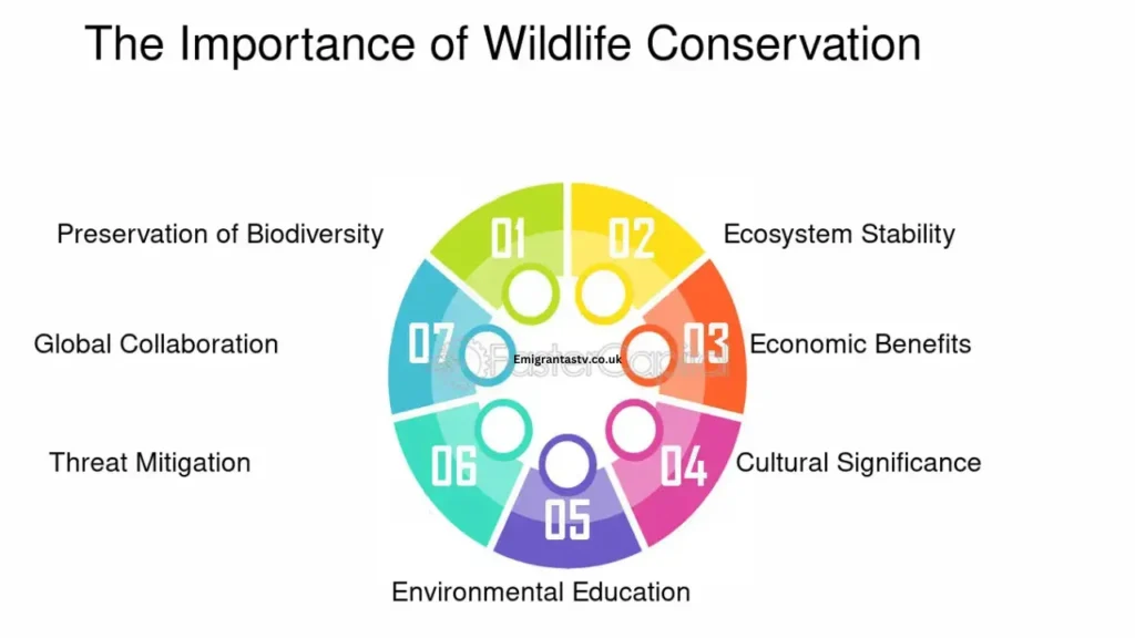 Voiceofconservation.org/
